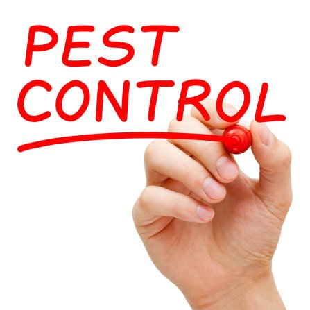 Pest Control Orlando Area