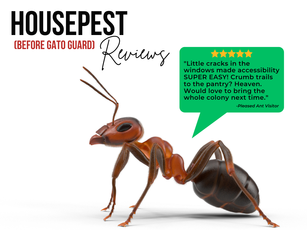 HousePEST Reviews (Before GATO)