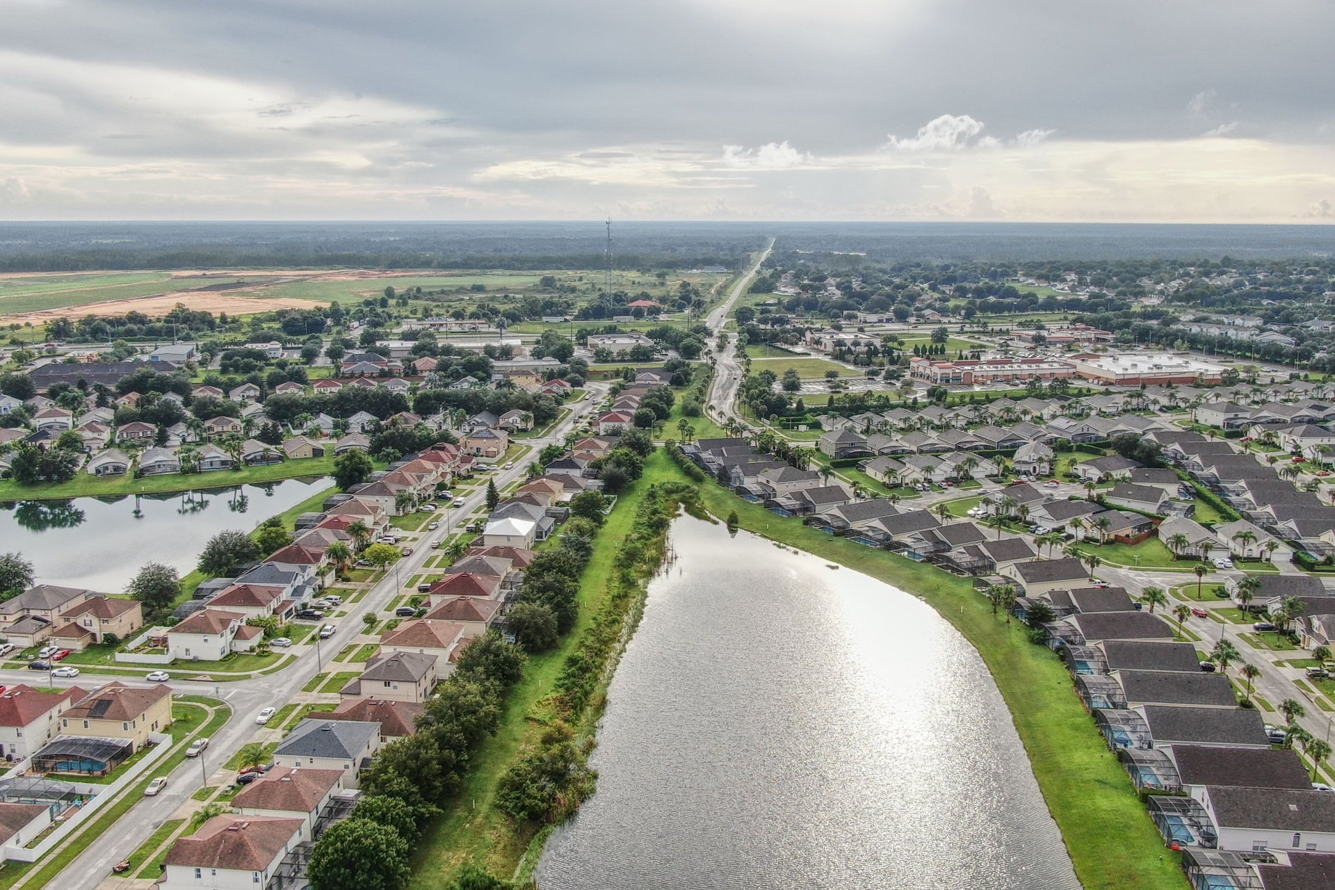 Top 10 Reasons to Choose Gato Lawn & Pest Control for Residential Pest Control