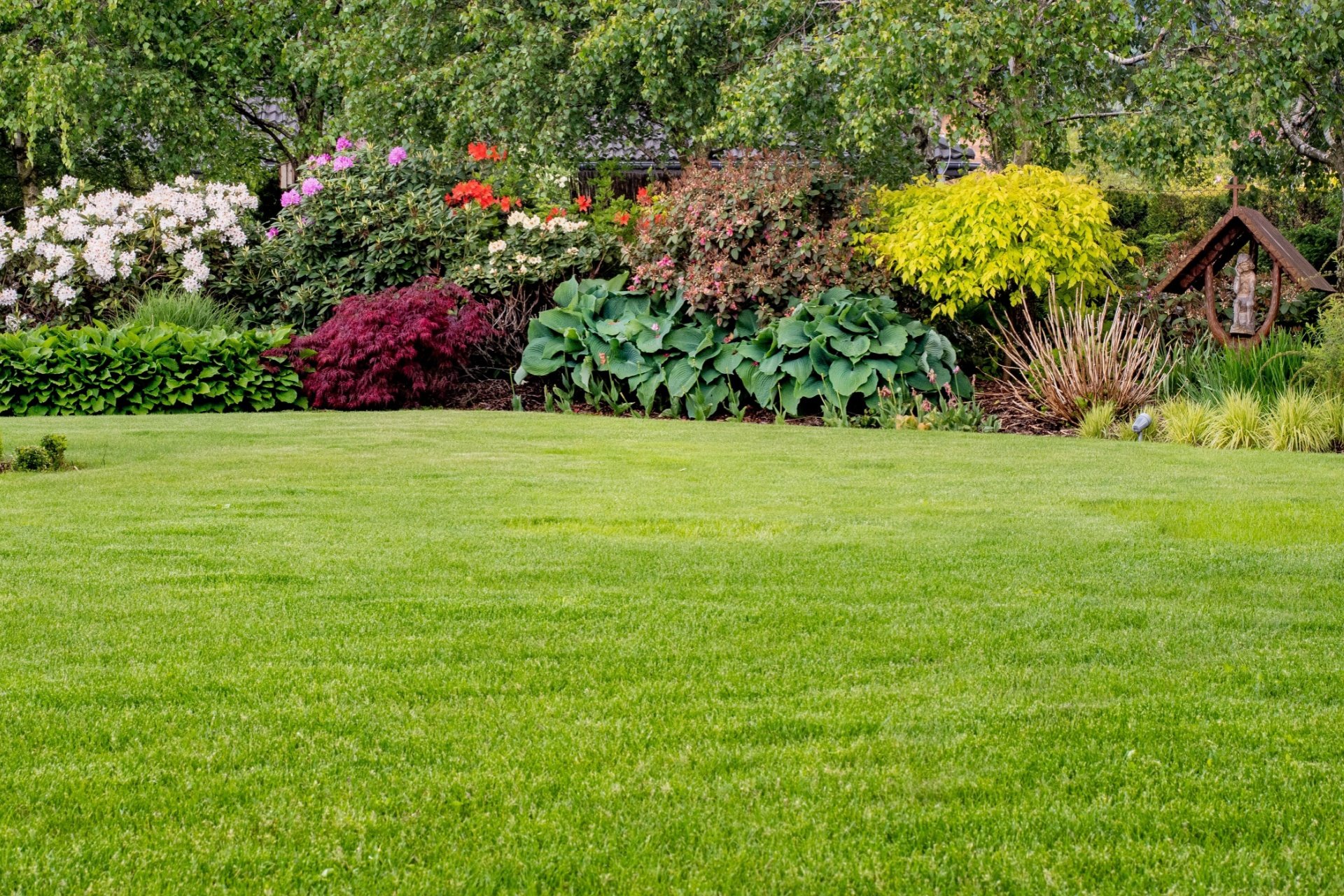 Who’s the Best Company for Lawn Care Services in Orlando?